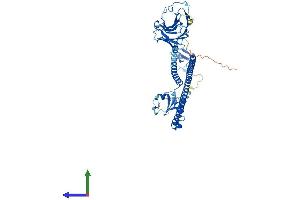 Protein Structure (PS) image for Tripartite Motif Containing 27 (TRIM27) (AA 1-513) protein (His tag) (ABIN7555820)