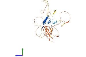 Protein Structure (PS) image for Calcium Binding tyrosine-(Y)-phosphorylation Regulated (CABYR) (AA 1-453) protein (His tag) (ABIN7560970)