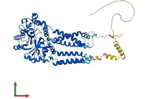 Protein Structure (PS) image for Glycerophosphodiester Phosphodiesterase Domain Containing 5 (GDPD5) (AA 1-605) protein (His tag) (ABIN7553993)