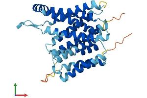 Protein Structure (PS) image for Solute Carrier Family 35, Member B1 (SLC35B1) (AA 1-322) protein (His tag) (ABIN7551716)