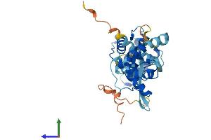 AlphaFold protein structure predicition of Human Recombinant PARVG Protein, UniprotID Q9HBI0