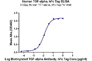 Immobilized Human TGF-alpha, hFc Tag at 0.