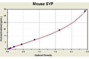Diagramm of the ELISA kit to detect Mouse SYPwith the optical density on the x-axis and the concentration on the y-axis. (Synaptophysin ELISA 试剂盒)