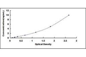 Typical standard curve (ODC1 ELISA 试剂盒)