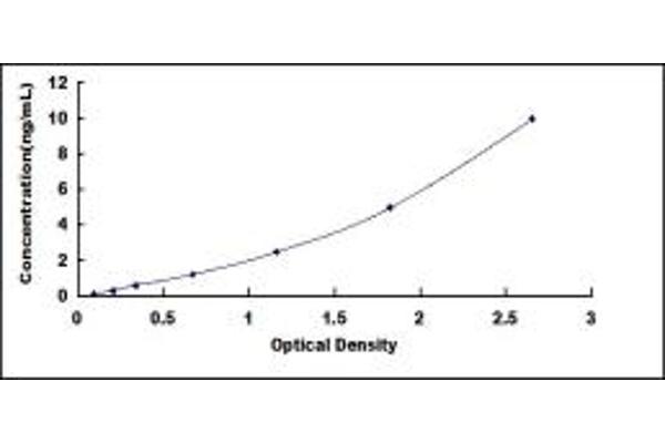 ODC1 ELISA 试剂盒