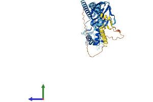 Protein Structure (PS) image for Amiloride-Sensitive Cation Channel 3 (ACCN3) (AA 1-530) protein (His tag) (ABIN7558126)