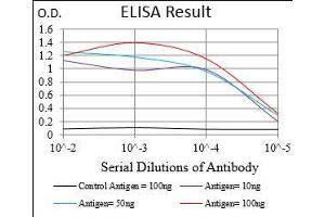 Black line: Control Antigen (100 ng), Purple line: Antigen(10 ng), Blue line: Antigen (50 ng), Red line: Antigen (100 ng), (CD73 抗体  (AA 30-250))