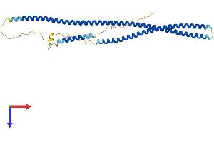 AlphaFold protein structure predicition of Mouse Recombinant Ccdc68 Protein, UniprotID Q8BVC4
