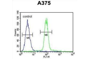 Flow Cytometry (FACS) image for anti-APOBEC1 Complementation Factor (A1CF) antibody (ABIN2995767) (A1CF 抗体)