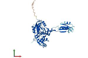 Protein Structure (PS) image for NIF3 NGG1 Interacting Factor 3-Like 1 (NIF3L1) (AA 1-376) protein (His tag) (ABIN7561393)