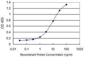 Detection limit for recombinant GST tagged STIP1 is 0. (STIP1 抗体  (AA 1-543))