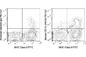 C57Bl/6 splenocytes were stained with FITC Anti-Mouse MHC Class II (ABIN6961605) and 1 μg PE-Cy7 Anti-Mouse CD11c (ABIN6961605) (right panel) or 1 μg PE-Cy7 Armenian Hamster IgG (left panel). (CD11c 抗体  (PE-Cy7))