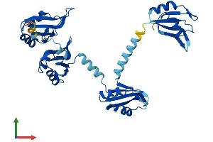 AlphaFold protein structure predicition of Human Recombinant PABPC4L Protein, UniprotID P0CB38