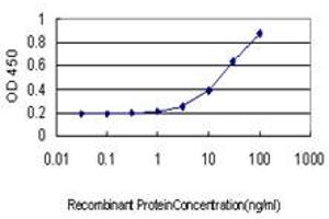 Detection limit for recombinant GST tagged STAU1 is approximately 1ng/ml as a capture antibody. (STAU1/Staufen 抗体  (AA 401-496))