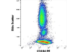 Flow cytometry surface staining pattern of human peripheral whole blood stained using anti-human CD184 (12G5) PE antibody (10 μL reagent / 100 μL of peripheral whole blood). (CXCR4 抗体  (PE))