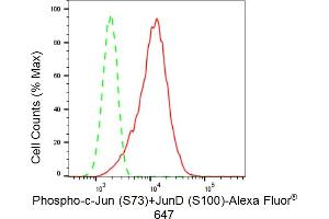 Flow cytometric analysis of Phospho-c-Jun (S73)+JunD (S100) expression in C2C12 cells using Phospho-c-Jun (S73)+JunD (S100) antibody (ABIN7799147), 1:(ABIN7798691). (Recombinant C-JUN 抗体  (pSer100))