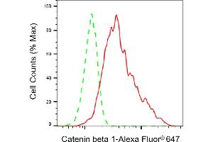 Flow cytometric analysis of Catenin beta 1 expression in C2C12 cells using Catenin beta 1 antibody (ABIN7797925), 1:2,000). (CTNNB1 抗体)