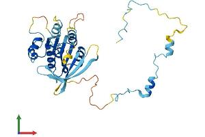Protein Structure (PS) image for Retinoic Acid Induced 12 (RAI12) (AA 1-300) protein (His tag) (ABIN7560354)