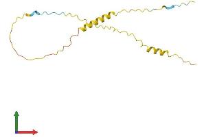 Protein Structure (PS) image for Transition Protein 2 (During Histone To Protamine Replacement) (TNP2) (AA 1-138) protein (His tag) (ABIN7546481)