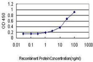 Detection limit for recombinant GST tagged LMO3 is approximately 1ng/ml as a capture antibody. (LMO3 抗体  (AA 91-146))