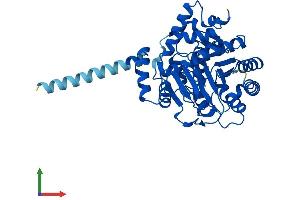 AlphaFold protein structure predicition of Human Recombinant DHODH Protein, UniprotID Q02127 (DHODH Protein (AA 1-395) (His tag))