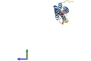 Protein Structure (PS) image for Angiotensin II Receptor-Associated Protein (AGTRAP) (AA 1-161) protein (His tag) (ABIN7556324)