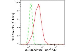 Flow cytometric analysis of c-Jun expression in HT- cells using c-Jun antibody (ABIN7799145), 1:2,000).