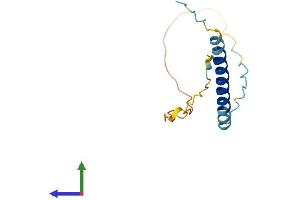 Protein Structure (PS) image for Transcription Elongation Factor A (SII)-Like 8 (TCEAL8) (AA 1-117) protein (His tag) (ABIN7560808)