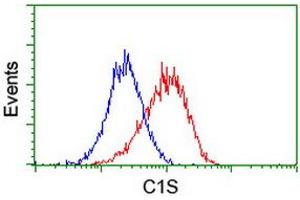 Flow cytometric Analysis of Hela cells, using anti-C1S antibody (ABIN2455522), (Red), compared to a nonspecific negative control antibody, (Blue). (C1S 抗体)