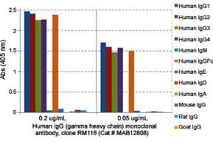ELISA analysis of Human IgG (gamma heavy chain) monoclonal antibody, clone RM116  at the following concentrations: 0. (兔 anti-人 Immunoglobulin Heavy Constant gamma 1 (G1m Marker) (IGHG1) Antibody (Biotin))