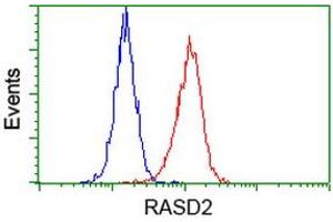 Flow cytometric Analysis of Hela cells, using anti-RASD2 antibody (ABIN2453587), (Red), compared to a nonspecific negative control antibody (TA50011), (Blue). (RASD2 抗体)