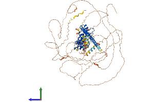 Protein Structure (PS) image for Synuclein, alpha Interacting Protein (SNCAIP) (AA 1-919) protein (His tag) (ABIN7555588)