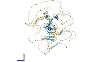Protein Structure (PS) image for Teashirt Zinc Finger Homeobox 3 (TSHZ3) (AA 1-1081) protein (His tag) (ABIN7564576)
