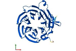 Protein Structure (PS) image for Budding Uninhibited By Benzimidazoles 3 Homolog (Yeast) (BUB3) (AA 1-326) protein (His tag) (ABIN7556312)