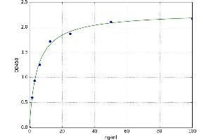 Very Low Density Lipoprotein Receptor (VLDLR) ELISA Kit