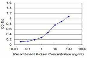 Detection limit for recombinant GST tagged YBX1 is approximately 0. (YBX1 抗体  (AA 51-139))