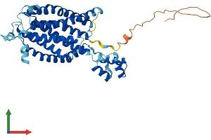AlphaFold protein structure predicition of Human Recombinant CERS4 Protein, UniprotID Q9HA82
