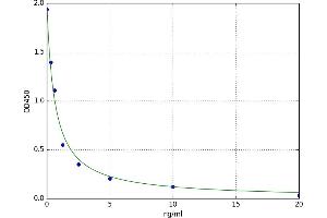 LIM Homeobox Transcription Factor 1, beta (LMX1B) ELISA Kit
