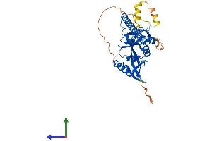 Protein Structure (PS) image for Ras Association (RalGDS/AF-6) Domain Family Member 4 (RASSF4) (AA 1-322) protein (His tag) (ABIN7559229)