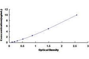 Muscle, Skeletal, Receptor Tyrosine Kinase (MUSK) ELISA Kit