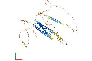 Protein Structure (PS) image for Chromosome 19 Open Reading Frame 46 (C19orf46) (AA 1-404) protein (His tag) (ABIN7555687)