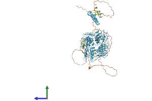 Protein Structure (PS) image for Zinc Finger Protein 160 (ZNF160) (AA 1-818) protein (His tag) (ABIN7545642)