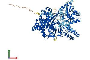 AlphaFold protein structure predicition of Mouse Recombinant Acsbg2 Protein, UniprotID Q2XU92