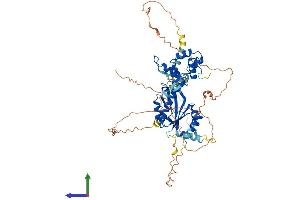 Protein Structure (PS) image for Crossover junction endonuclease EME1 (EME1) (AA 1-570) protein (His tag) (ABIN7558710)