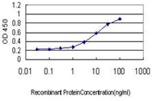 Detection limit for recombinant GST tagged SSBP3 is approximately 0. (SSBP3 抗体  (AA 1-102))
