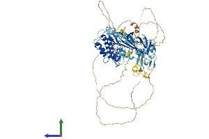 AlphaFold protein structure predicition of Mouse Recombinant Dclk2 Protein, UniprotID Q6PGN3