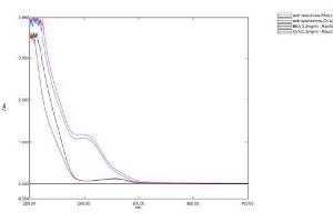 Image no. 1 for Androstenedione (ASD) protein (BSA) (ABIN1880277) (Androstenedione Protein (ASD) (BSA))