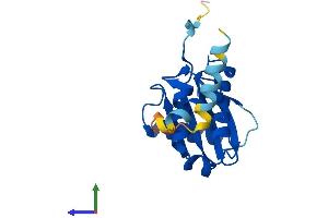 Protein Structure (PS) image for Coatomer Protein Complex, Subunit zeta 1 (COPZ1) (AA 1-177) protein (His tag) (ABIN7556589)