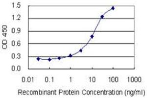 Detection limit for recombinant GST tagged HDHD1A is 0. (HDHD1 抗体  (AA 107-212))