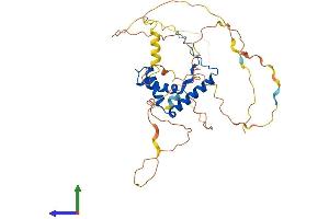 Protein Structure (PS) image for SRY (Sex Determining Region Y)-Box 3 (SOX3) (AA 1-375) protein (His tag) (ABIN7563439)